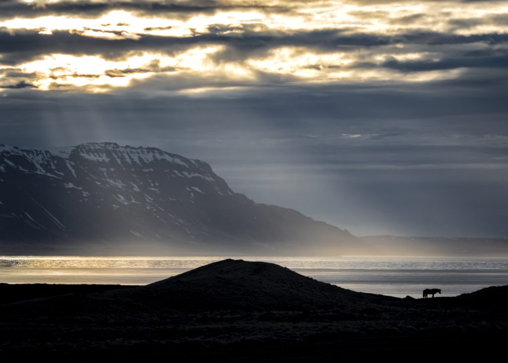 Island (Foto: Peter Löfström)